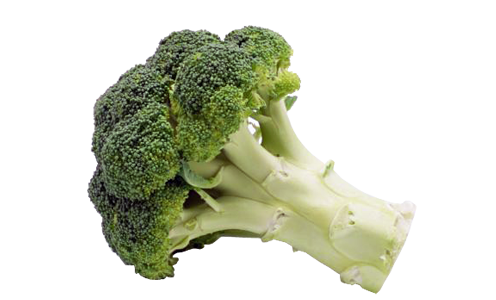 Broccoli